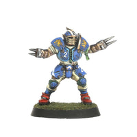 Reikland Reavers - Human Blood Bowl Team
