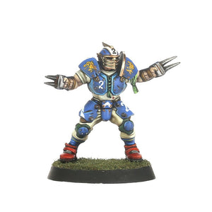 Reikland Reavers - Human Blood Bowl Team