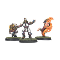 The Middenheim Maulers – Old World Alliance Blood Bowl Team
