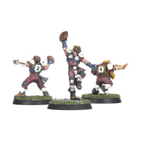 The Middenheim Maulers – Old World Alliance Blood Bowl Team
