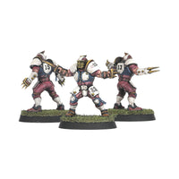 The Middenheim Maulers – Old World Alliance Blood Bowl Team
