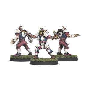 The Middenheim Maulers – Old World Alliance Blood Bowl Team