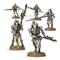 Necron Lychguard