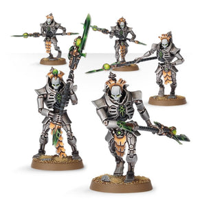 Necron Lychguard