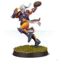 The Elfheim Eagles - Elven Union Blood Bowl Team
