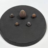 Masterclass Scenics: Pinecones