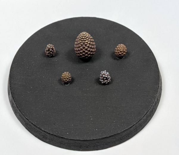 Masterclass Scenics: Pinecones