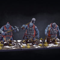 Nords Warband Set PREORDER 1/31/21