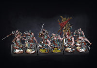 Nords Warband Set PREORDER 1/31/21
